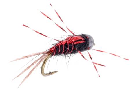 Anato May Nymph - Red